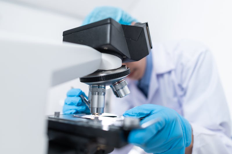 Bacterias y Sedimentos
